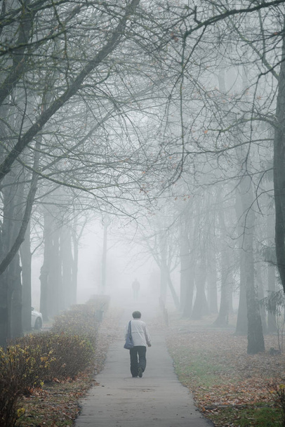 Žena kráčí mlhavou uličkou v Obninsku. - Fotografie, Obrázek