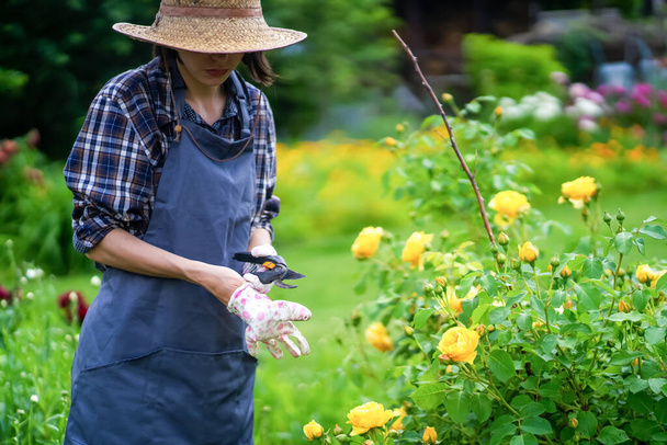 Een vrouw is betrokken bij tuinieren en landbouw, een tuinman met een strohoed, - Foto, afbeelding