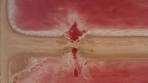 Volatili aerei occhio in alto verso il basso crescente vista della strada sterrata tra i laghi rosa. Varie tonalità di colore a seconda della profondità dell'acqua. Las Coloradas, Yucatan, Messico - Filmati, video