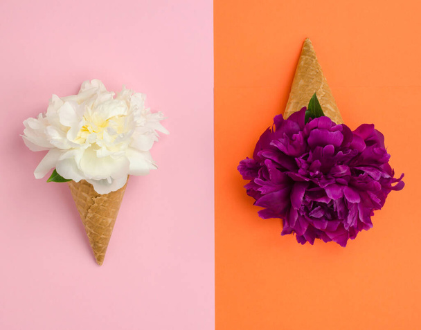 カラフルな背景にワッフルアイスカップに白とピンクの牡丹の花。春と夏のコンセプトミニマリズム. - 写真・画像