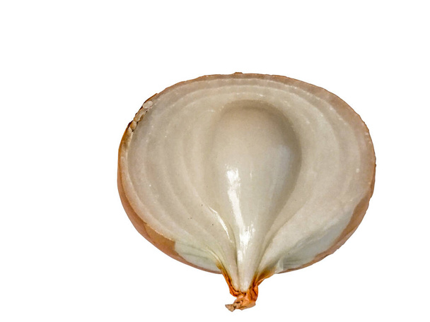 trozo de cebolla aislada en blanco - Foto, Imagen