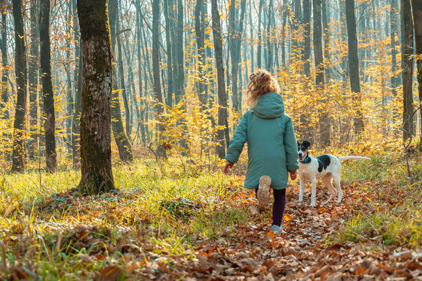 A child girl in a jacket is running to meet a dog in an autumn forest. View from the back. In the background is green grass, yellow leaves and tree trunks. The concept of a happy childhood - Photo, image