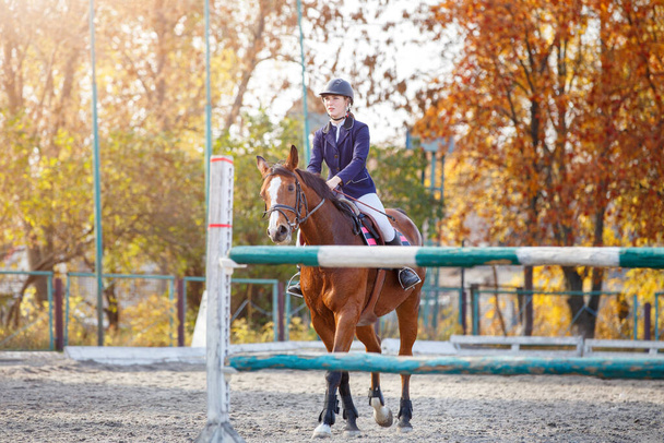 Young teenage girl riding horse before her show jumping test - 写真・画像