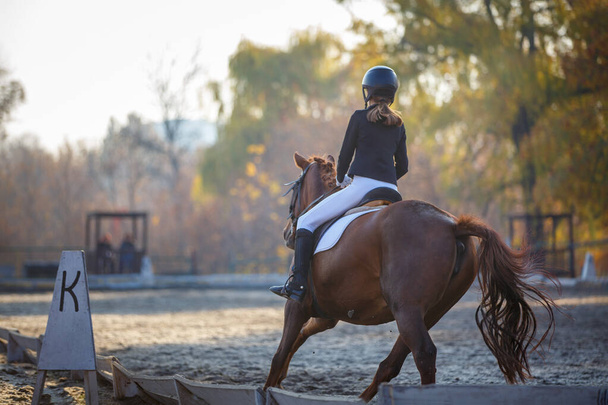 Teenage girl riding horse on equestrian dressage test in autumn - Photo, image