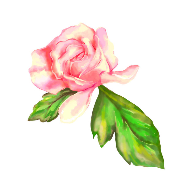 Pink rose on a white background. Watercolor vector illustration - Вектор,изображение