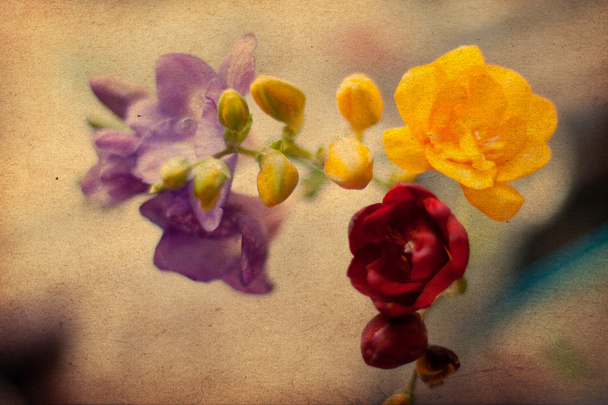 Ανοιξιάτικα λουλούδια, vintage grunge μοτίβο - Φωτογραφία, εικόνα