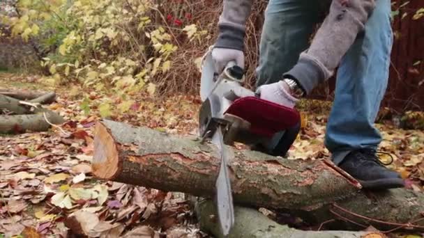 Man with electric chainsaw in hand cutting wood. Lumberjack at work. Preparing firewood for winter season. - Footage, Video