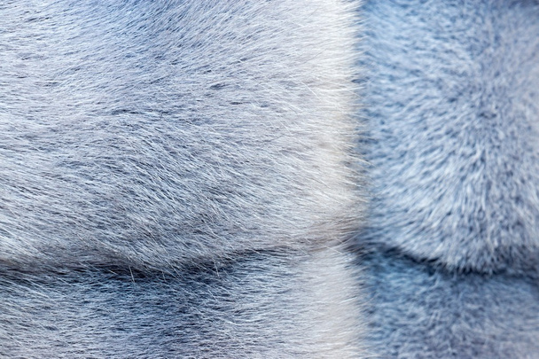 textura de pele de cor cinza-azul
 - Foto, Imagem