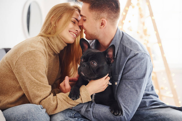 Happy young modern couple sitting on the sofa at home with christmas tree with their cute dog. - Valokuva, kuva
