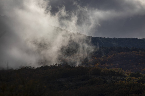 Krajobraz drzew, chmur i gór, buki i dzikie sosny, odrętwiałe jesienią, w Parku Naturalnym Moncayo, Saragossa, Aragon, Hiszpania - Zdjęcie, obraz