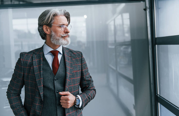 Senior businessman in suit and tie with gray hair and beard standing indoors. - Foto, Imagem