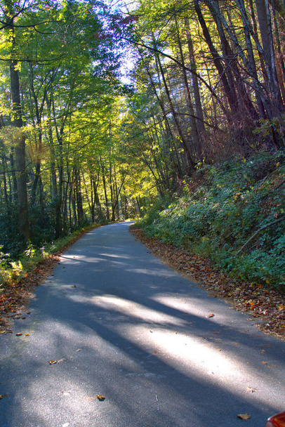 Сонце піднімається до осінніх кольорів на гірській дорозі
 - Фото, зображення