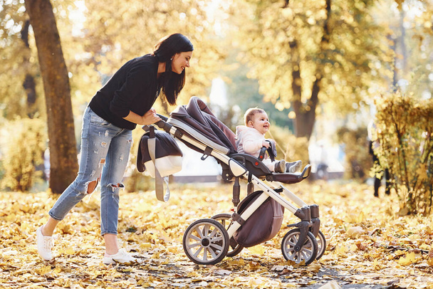 Mother in casual clothes with her child in pram is in the beautiful autumn park. - Zdjęcie, obraz