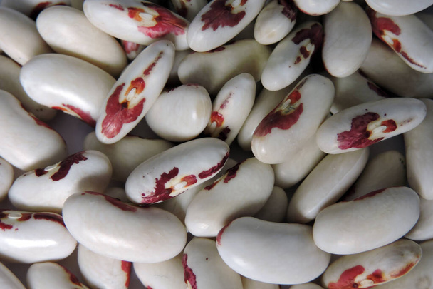 ポーランド独立豆の色鮮やかな種子が近くにあり、白い背景 - 写真・画像