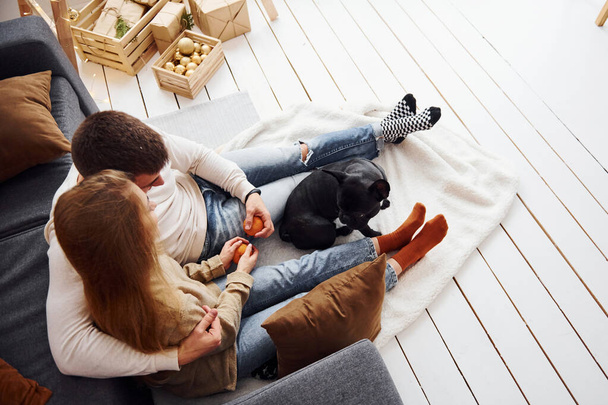 Happy young modern couple sitting on the sofa at home with their cute dog. - Fotoğraf, Görsel