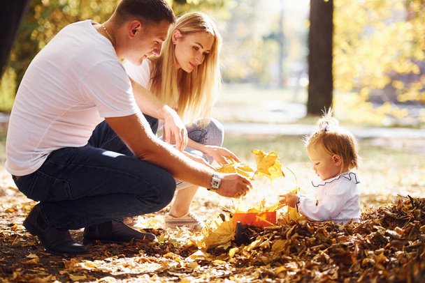 Cheerful young family have a rest in an autumn park together. - Foto, afbeelding