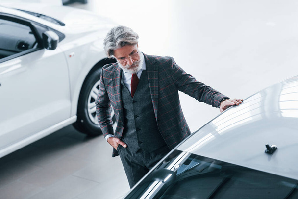 Aerial view of fashionable old man with grey hair and mustache that looking for a new car indoors in salon. - Photo, Image