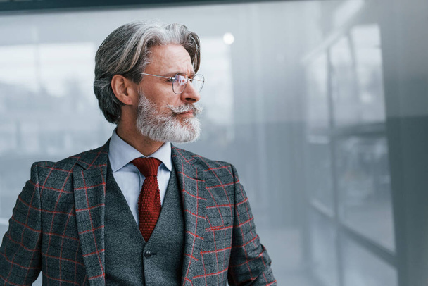 Senior businessman in suit and tie with gray hair and beard standing indoors. - Фото, изображение