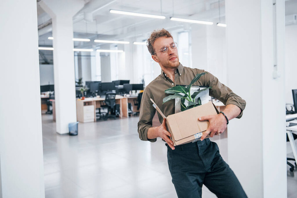 Office worker in formal wear walking with box with green plant inside of it. - 写真・画像