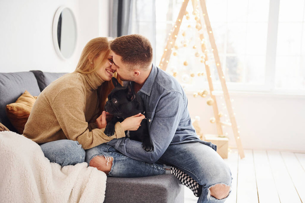 Happy young modern couple sitting on the sofa at home with christmas tree with their cute dog. - Fotoğraf, Görsel