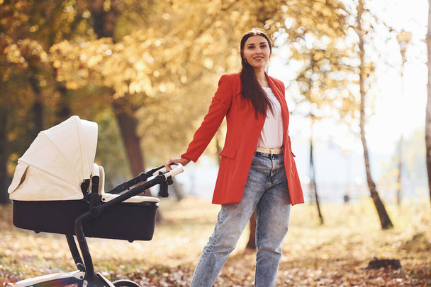 Mother in red coat have a walk with her kid in the pram in the park with beautiful trees at autumn time. - Foto, Imagem