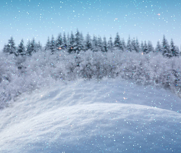 Fond de neige de Noël dans le ton bleu isolé sur la forêt d'hiver . - Photo, image
