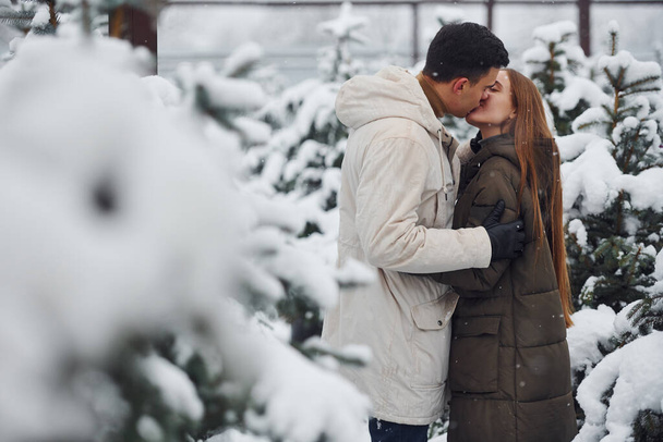 Young cute couple walking outdoors near fresh christmas fir trees. - Fotografie, Obrázek
