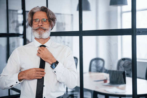 Confident mature businessman with grey hair and beard in formal clothes is in the office. - Foto, Imagem