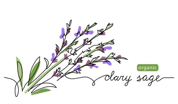 Clary sage herb color vector illustration, drawn sketch for label design. One continuous line art drawing with lettering organic clary sage - Вектор,изображение