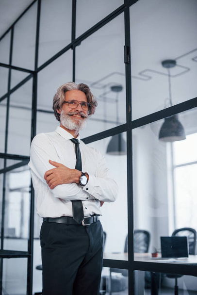 Mature businessman with grey hair and beard in formal clothes is in the office. - Foto, immagini