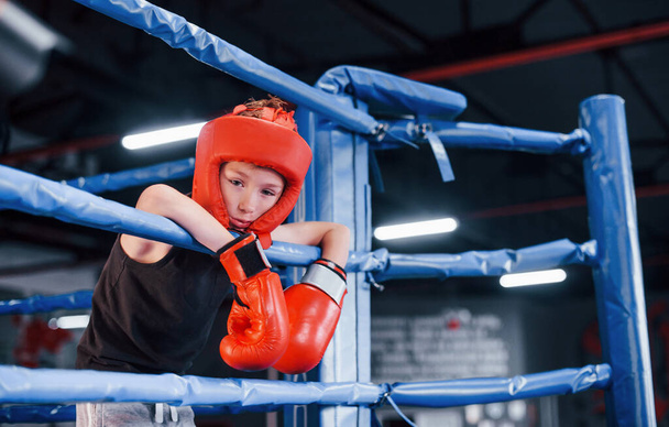 Tired boy in protective equipment leaning on the knots of boxing ring. - 写真・画像