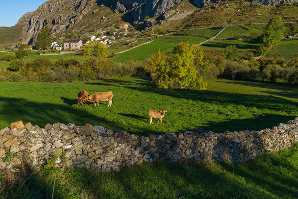 Paysage d'automne dans la ville de Valle de Lago à Somiedo, Asturies. Espagne  - Photo, image