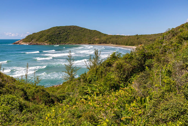 Dalgalar ve bitki örtüsüyle sahil manzarası, Praia Vermelha, Imbituba, Santa Catarina, Brezilya - Fotoğraf, Görsel