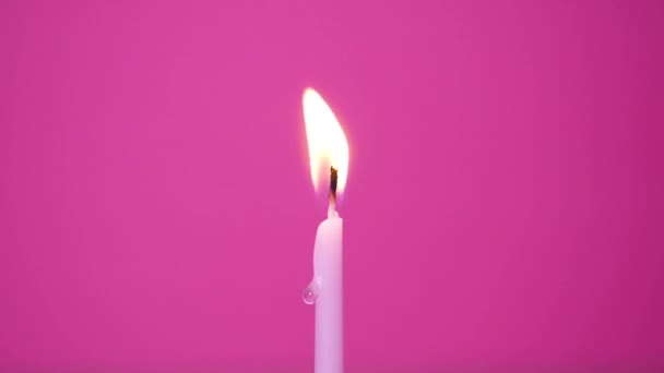 Blowing out one cake candle burning on a pink background. Close up on blow out of pink or magenta cake candle. Full HD resolution slow motion happy birthday or anniversary video. - Footage, Video
