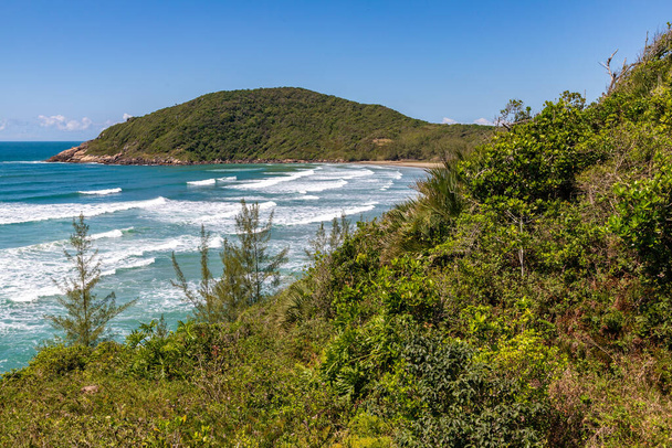 Dalgalar ve bitki örtüsüyle sahil manzarası, Praia Vermelha, Imbituba, Santa Catarina, Brezilya - Fotoğraf, Görsel