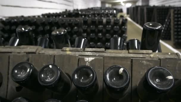 Μπουκάλια κρασιού σε υπόγειο κελάρι οινοποιείο - Πλάνα, βίντεο