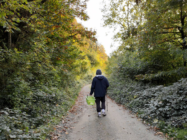 Ο άνθρωπος περπατά σε ένα δασικό δρόμο φθινόπωρο με ένα άδειο καλάθι στα χέρια του - Φωτογραφία, εικόνα