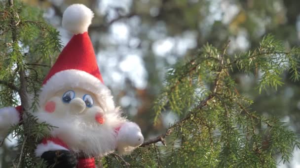 Het kabouter speeltje met grote ogen op de boomtop in Rovaniemi Finland.4k - Video