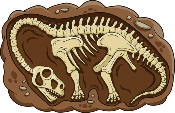 Vektori esimerkki sarjakuva brontosaurus dinosaurus fossiili - Vektori, kuva