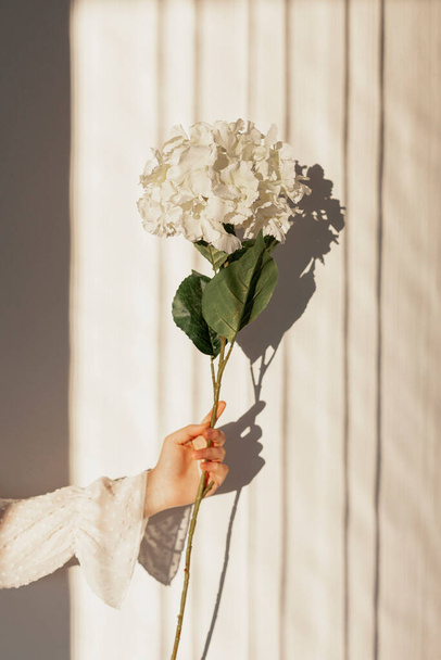 hand holding natural flowers. High quality photo - Фото, изображение