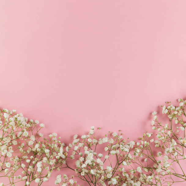 Pembe arka planda beyaz taze bebek nefesi çiçekleri. Yüksek kalite fotoğraf - Fotoğraf, Görsel