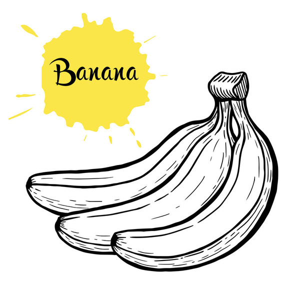 Vector hand-drawn black and white illustration of a banana isolated with bright yellow splashes. Suitable for natural food, tropical summer decor. - Vector, Image