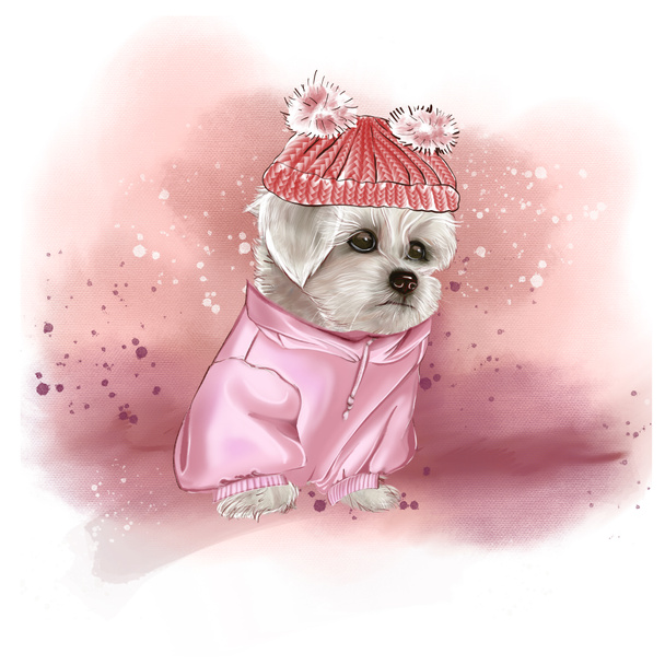 Perro faldero blanco. Bichon Frize. Maltés. Lindo cachorro blanco posando para la cámara en una sudadera con capucha rosa y sombrero de invierno. El perro faldero sonríe. Lindo perro. Ilustración de un perro gracioso. Muestra. Blanco perro esponjoso - Foto, imagen