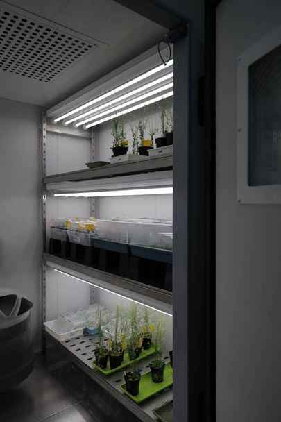 A vertical shot of seedlings on a freezer in a laboratory - Photo, image