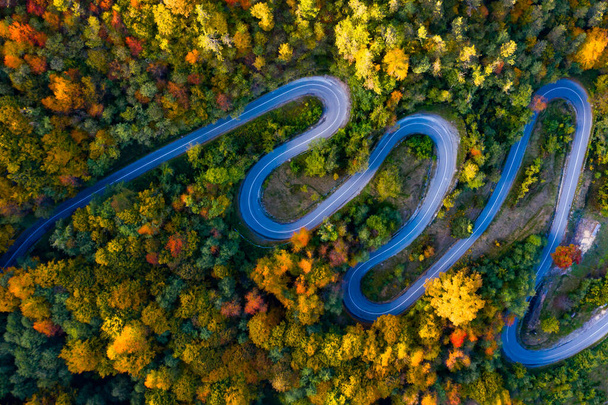 Aerial view of curving road through colorful autumn forest - Photo, Image