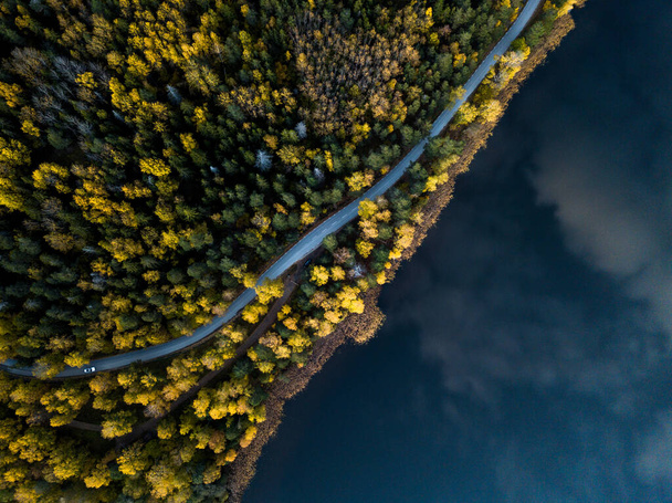 A top view shot of a road surrounded by fir trees near a lake - Fotó, kép