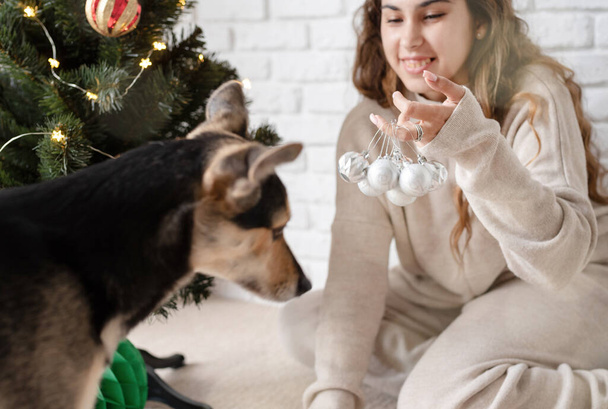 Genç çekici bir kadın Noel ağacını süslüyor ve köpeklerle oynuyor. - Fotoğraf, Görsel