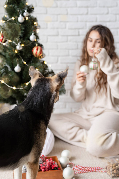 junge attraktive Frau schmückt den Weihnachtsbaum und spielt mit Hunden - Foto, Bild