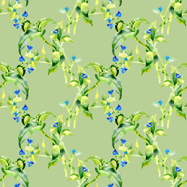 Floral seamless pattern with flowers - Foto, Imagen