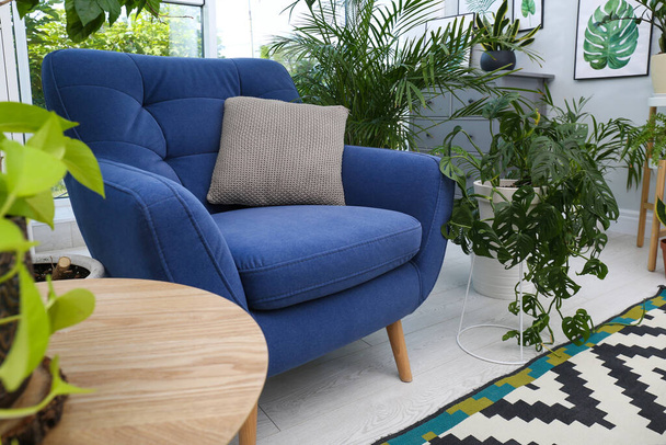 Comfortable armchair and beautiful houseplants in room. Lounge area interior - Foto, Bild